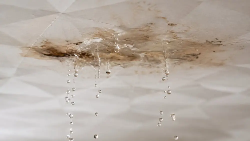 Roof repair and leak solutions in Sarasota FL